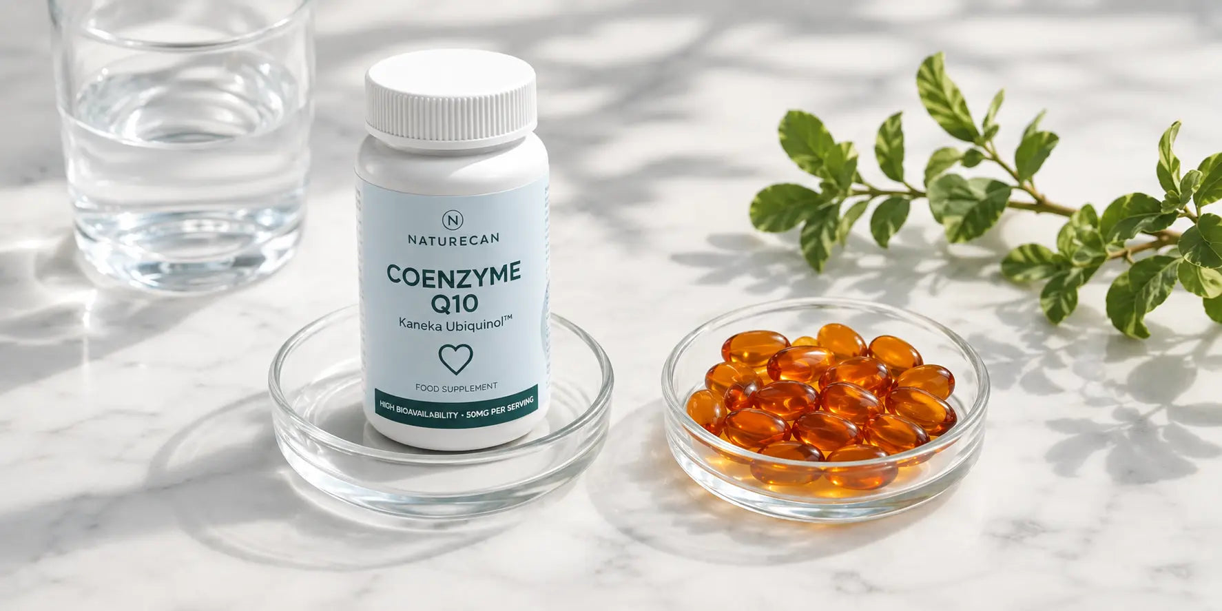 coenzima q10 vs ubiquinol
