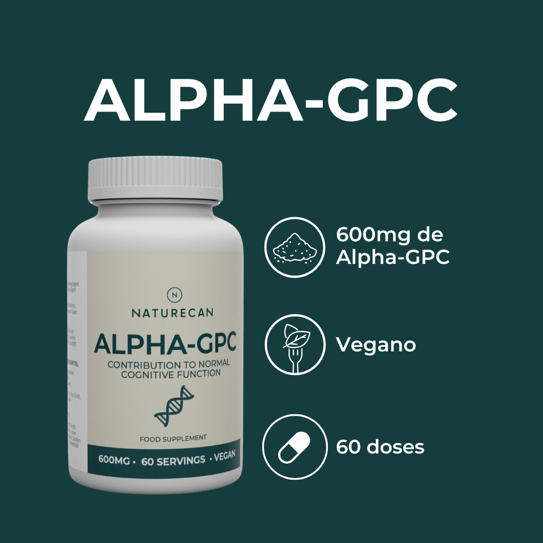 Suplemento Alfa GPC