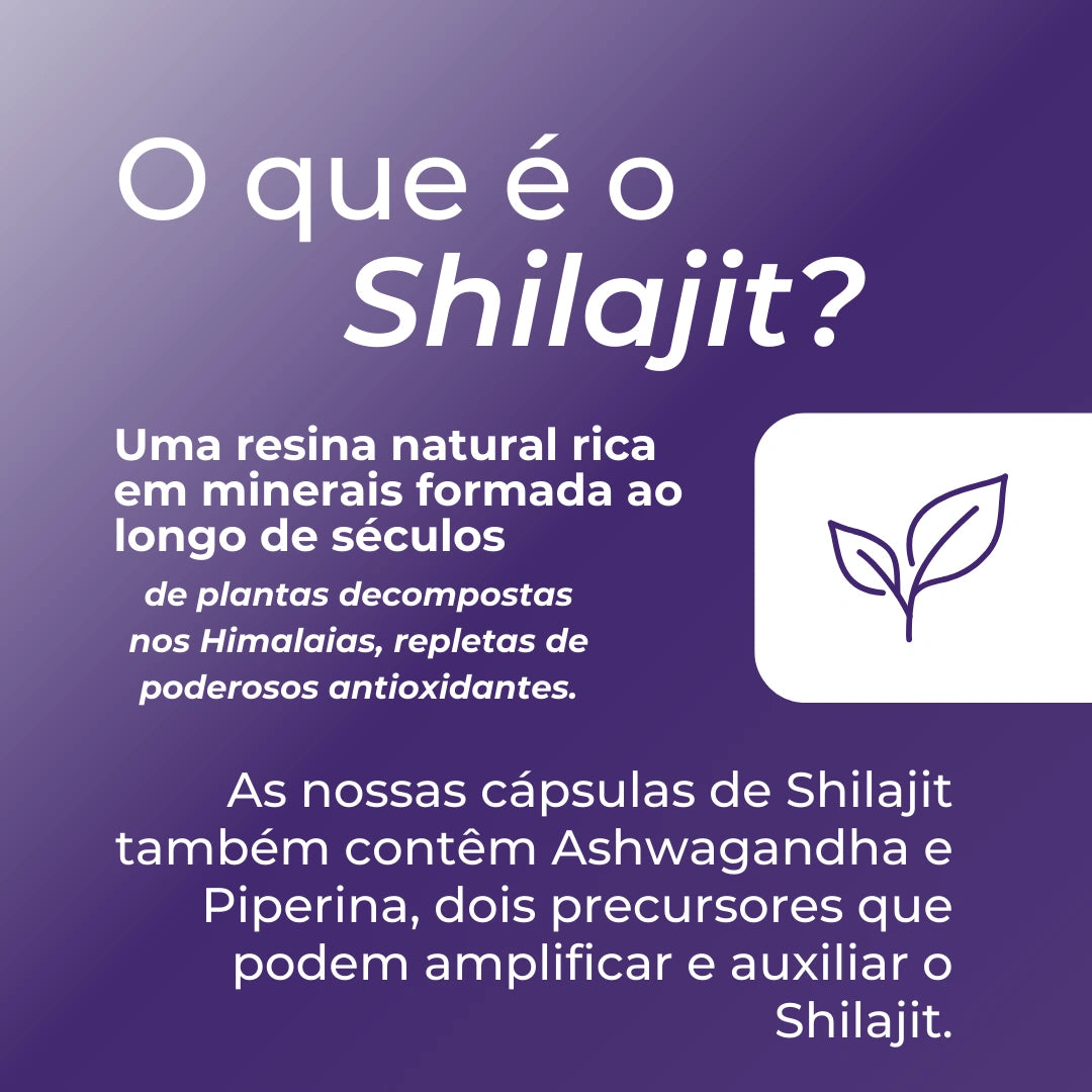 Infográfico Shilajit_2