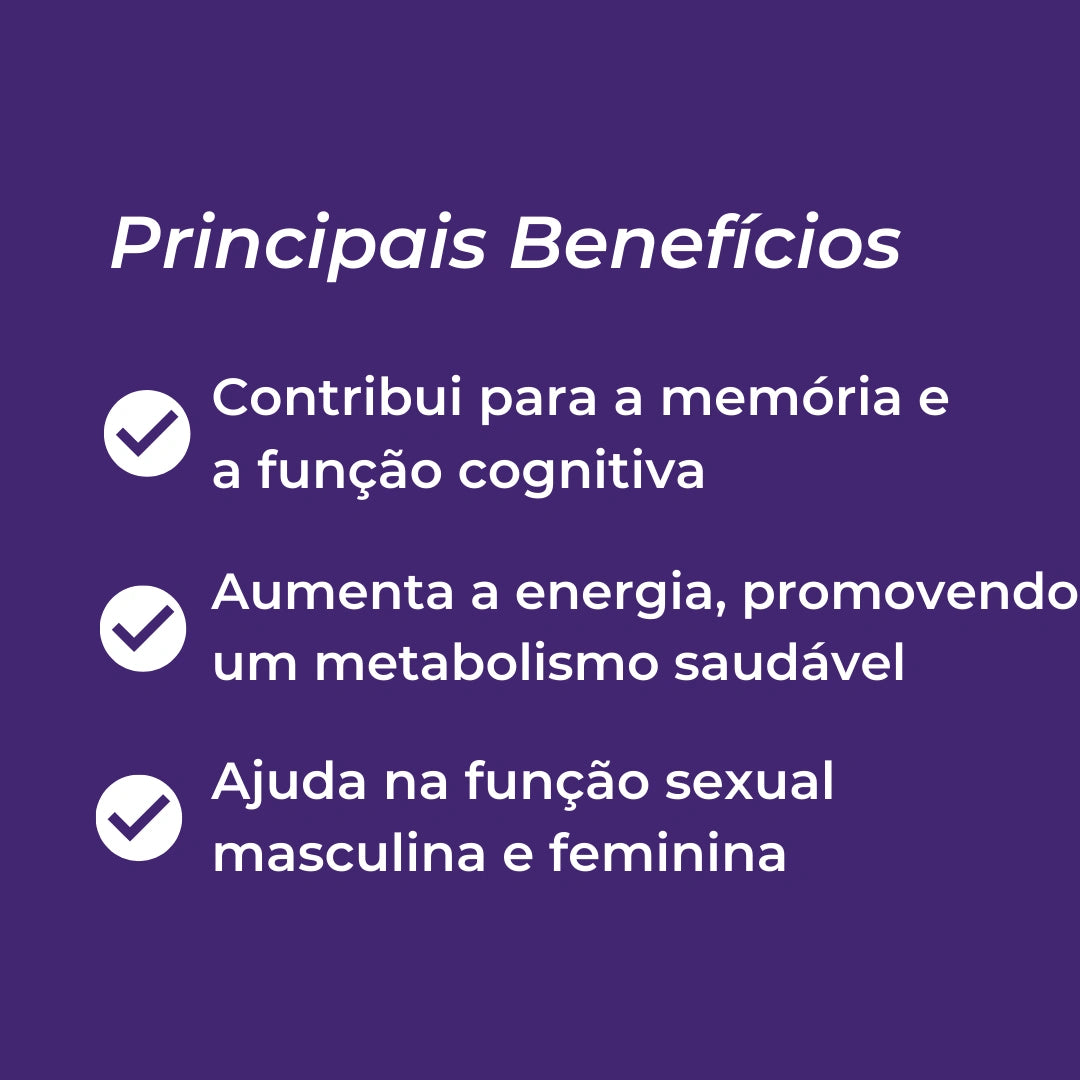 Infográfico Shilajit_3