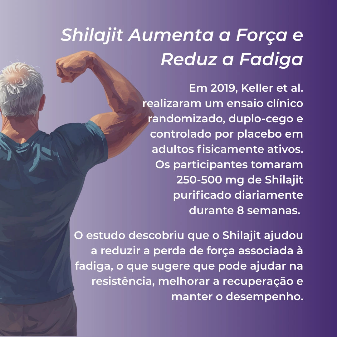 Infográfico Shilajit_4