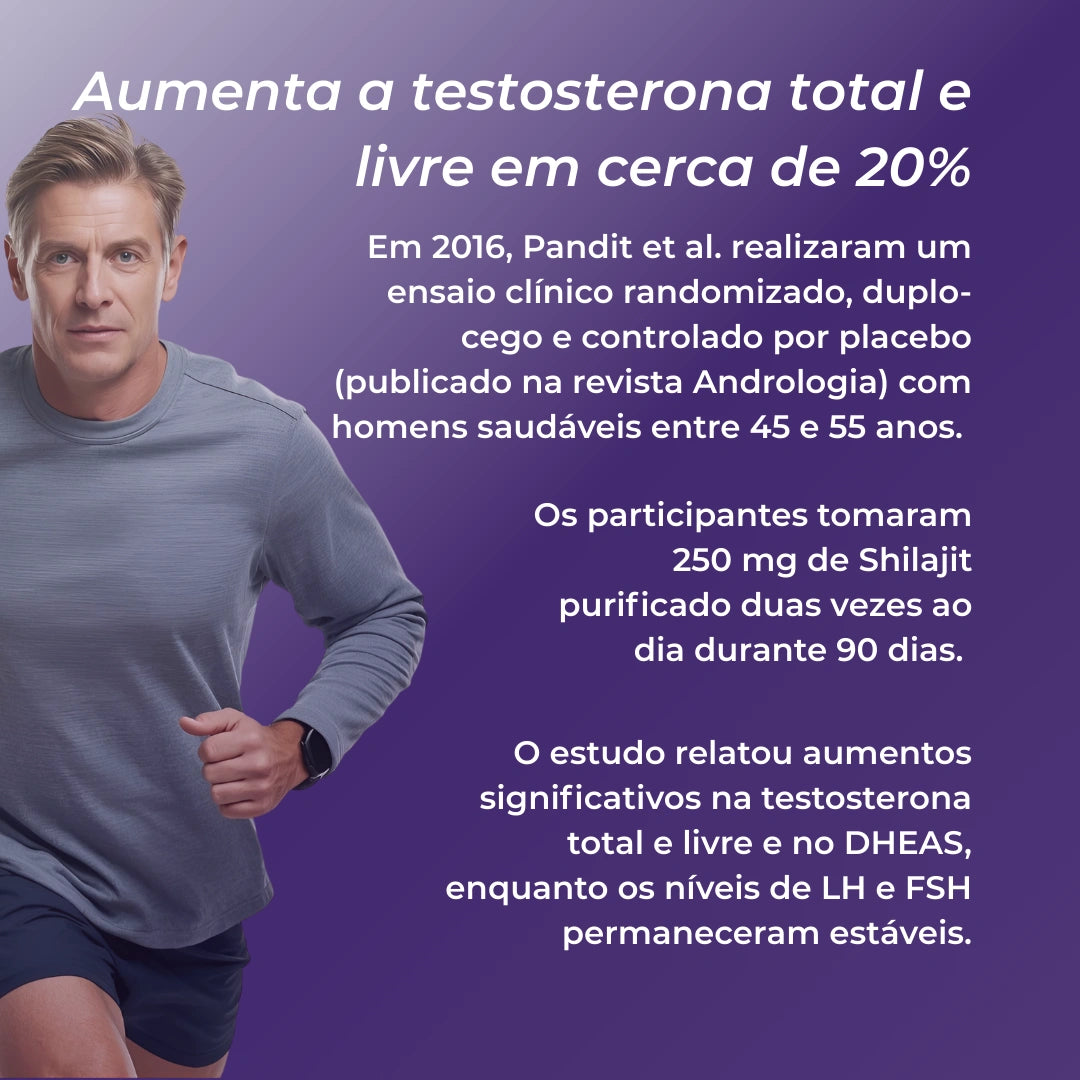 Infográfico Shilajit_