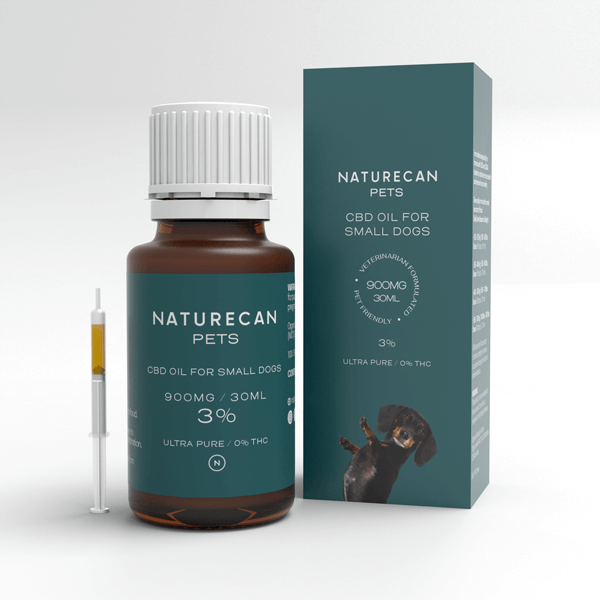 Óleo CBD para Cães