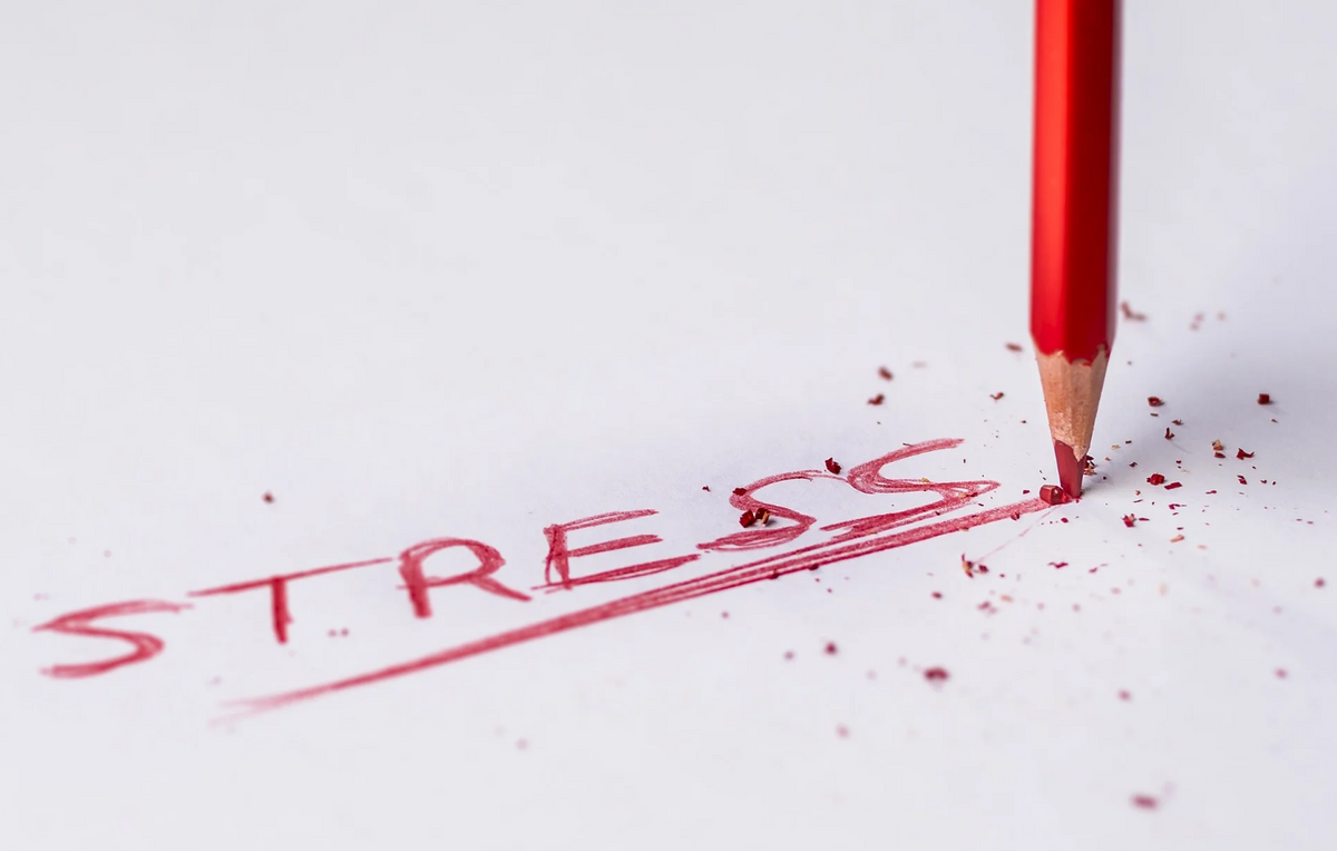 CBD e o Stress: o que diz a ciência?
