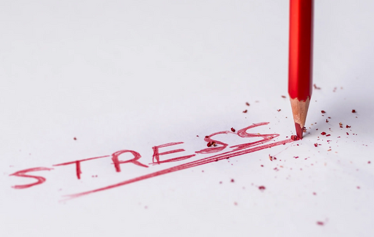 CBD e o Stress: o que diz a ciência?