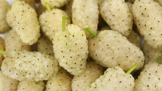 5 Benefícios da Amoreira Branca | O Que Diz a Ciência?