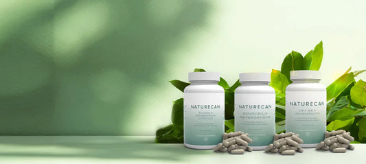 O Ashwagandha Reduz o Cortisol?