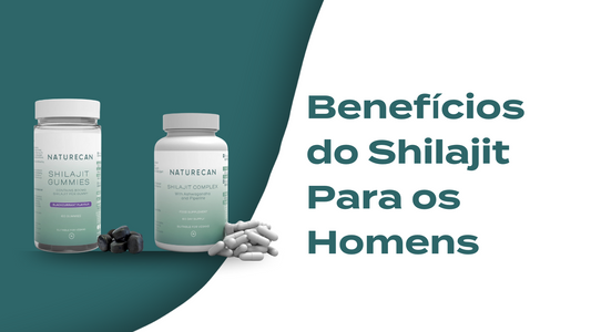 4 Benefícios do Shilajit Para os Homens