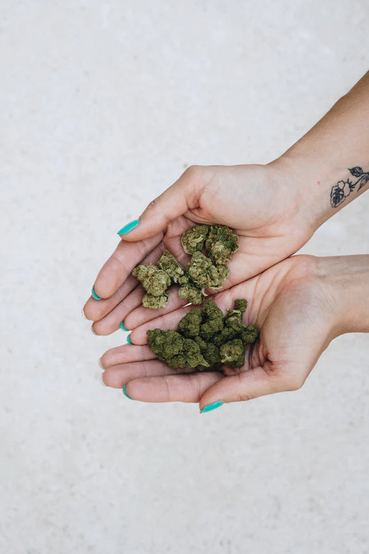 flores de cbd