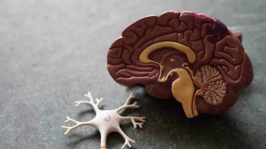 cbd e saúde mental
