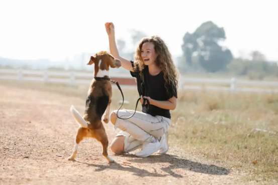 cbd para tremores em cães