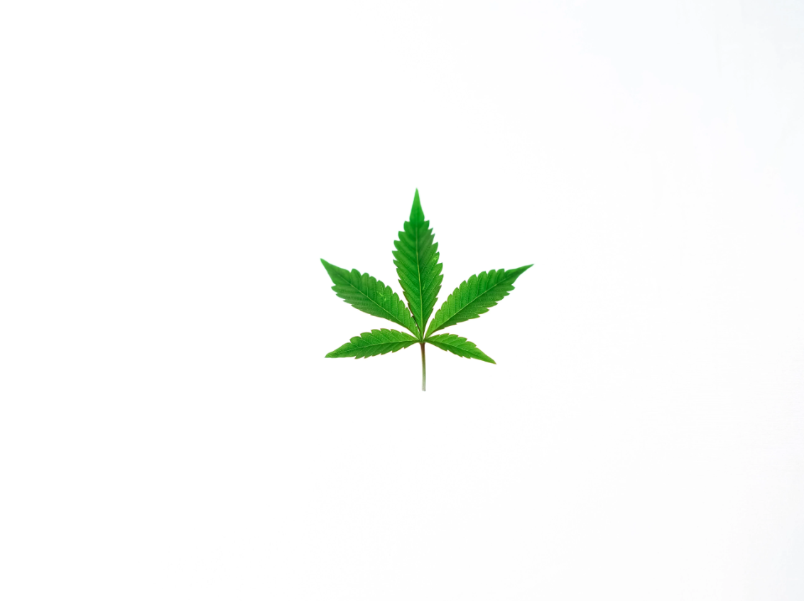 Como aliviar sintomas da abstinência da canábis com CBD