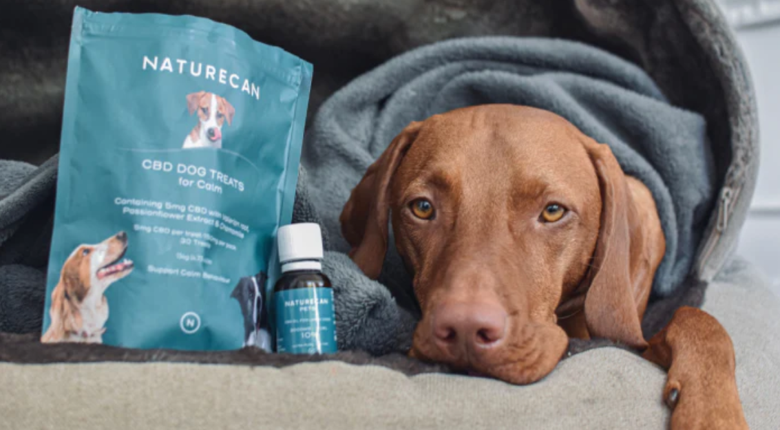 Isolado de CBD e CBDA para animais