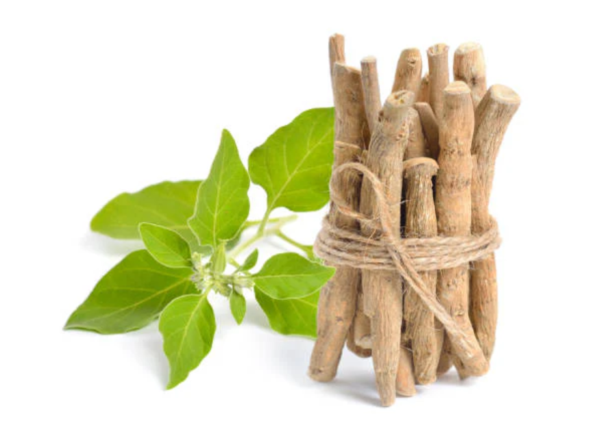 Ashwagandha vs Rhodiola