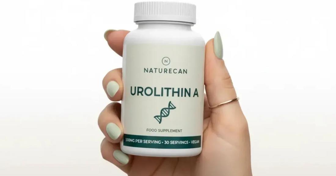 O que é a Urolitina A