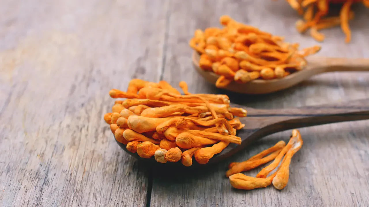 Benefícios, Dosagem e Efeitos Colaterais do Cordyceps