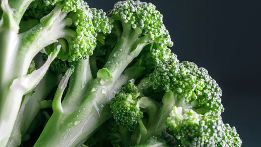 Benefícios dos Rebentos de Brócolos: O Sulforafano é Anti-Envelhecimento?