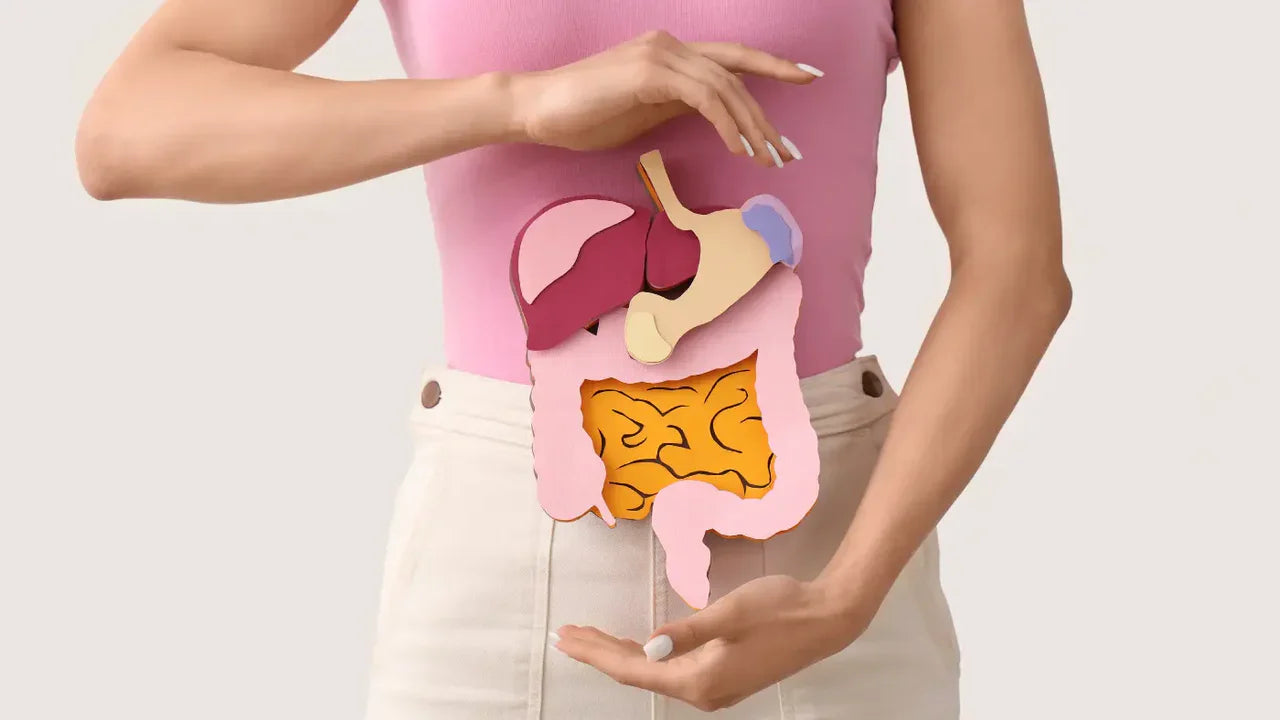 Enzimas digestivas: o que são? Para que servem?