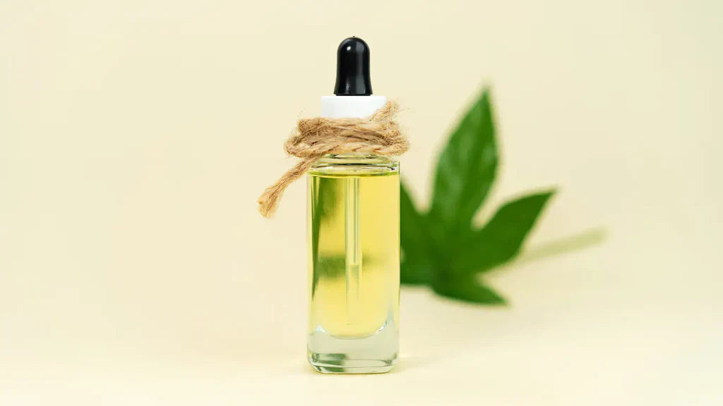 O Que é o Óleo de THC? Tudo o Que Precisa Saber