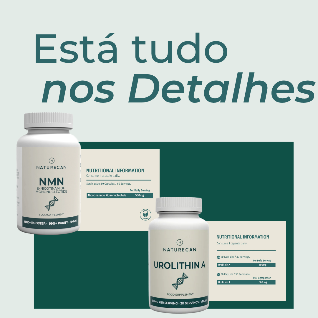 Suplementos Mitocondriais ingredientes