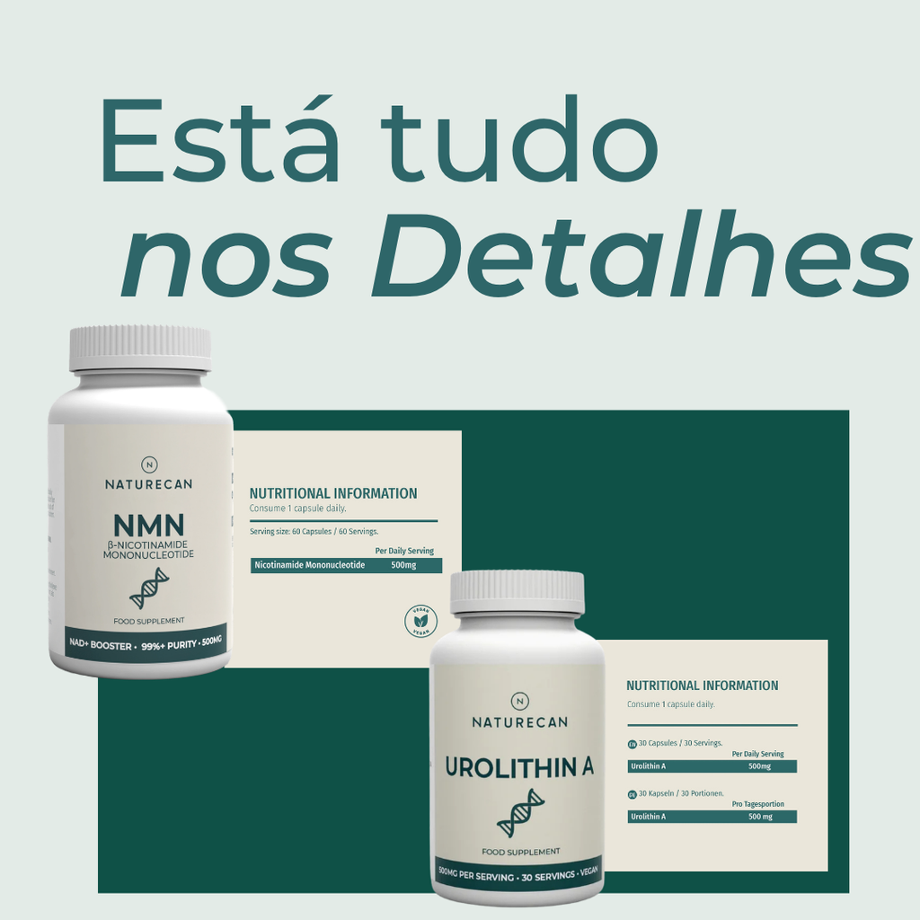 Suplementos Mitocondriais ingredientes