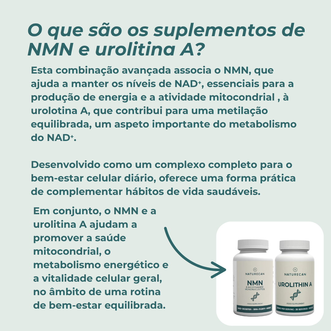 o que são Suplementos Mitocondriais