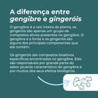 Cápsulas de Gengibre Orgânico em Pó