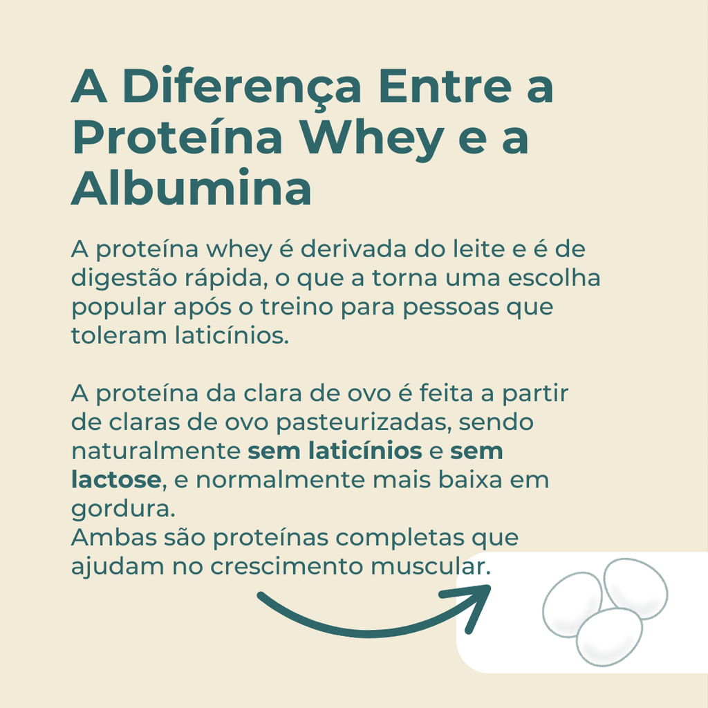 whey vs albumina
