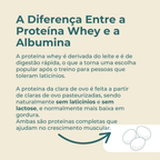 whey vs albumina