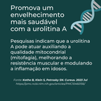 Suplemento Urolitina A