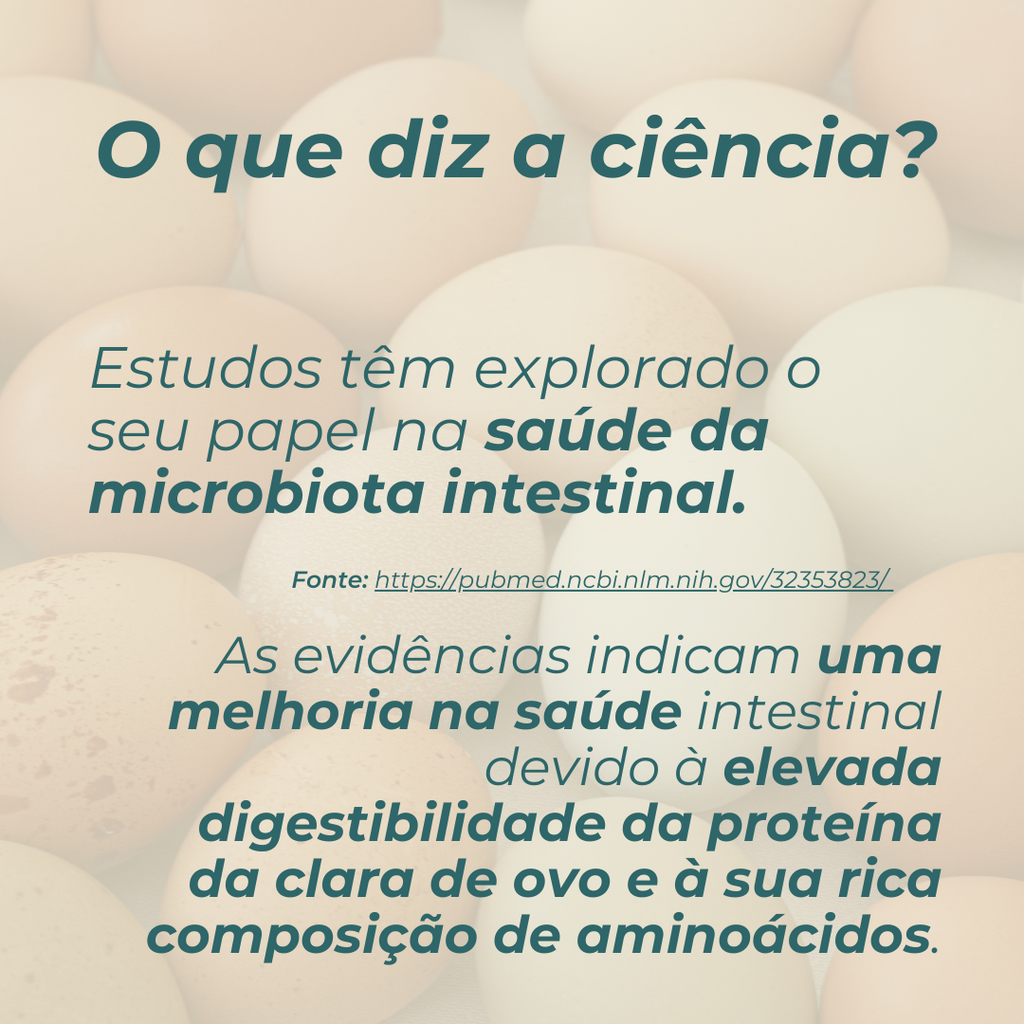 Albumina de Clara de Ovo em Pó