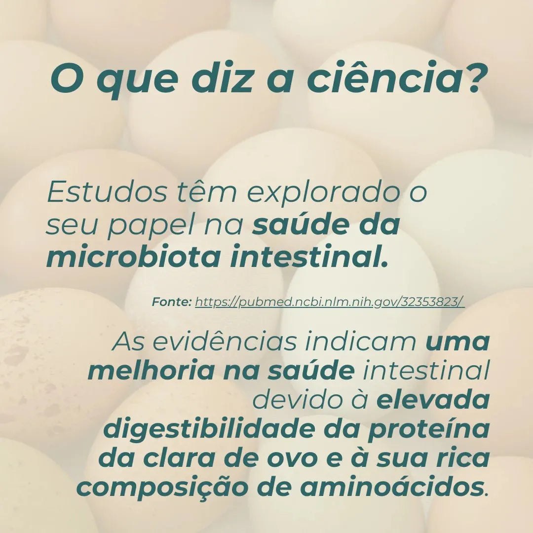 Albumina de Clara de Ovo em Pó