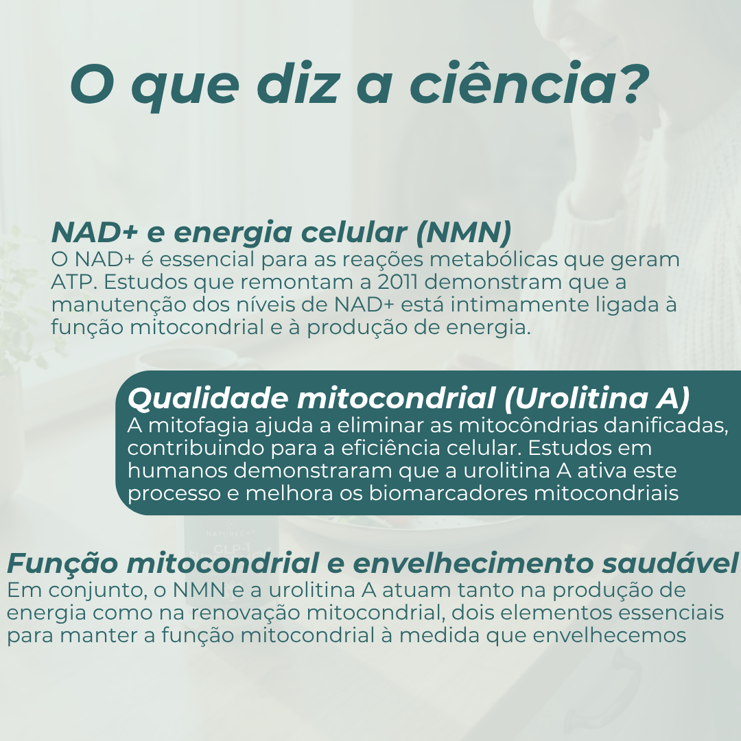 Suplementos Mitocondriais