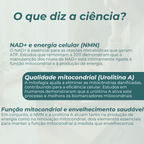 Suplementos Mitocondriais