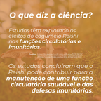 Gomas de Cogumelo Reishi