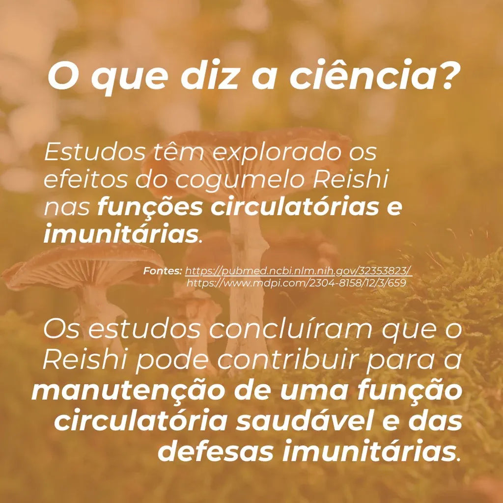 Gomas de Cogumelo Reishi