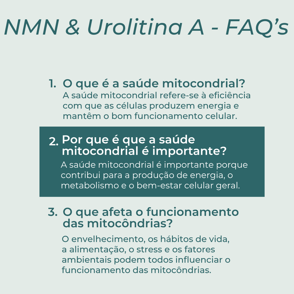 Suplementos Mitocondriais