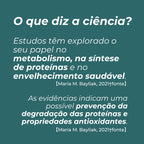 Suplemento Alfa-Cetoglutarato de Cálcio