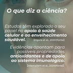 Suplemento de Apigenina