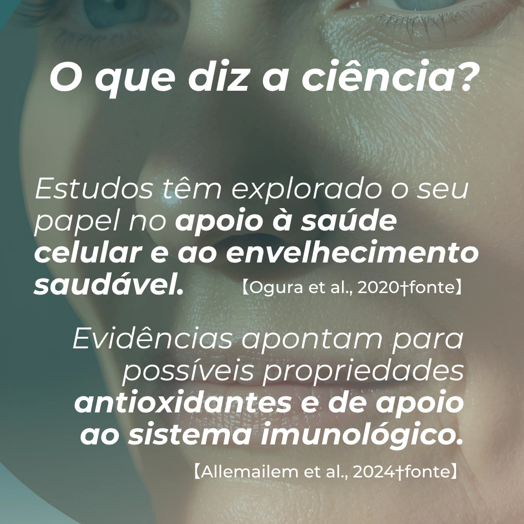 Suplemento de Apigenina