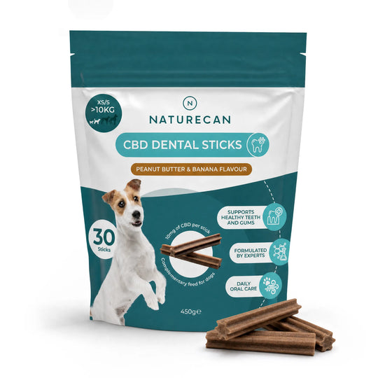 Sticks Dentais com CBD para Cães