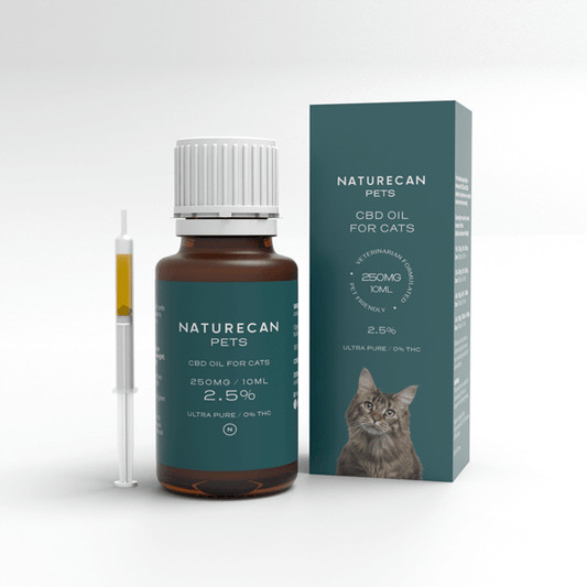Óleo de CBD para Gatos