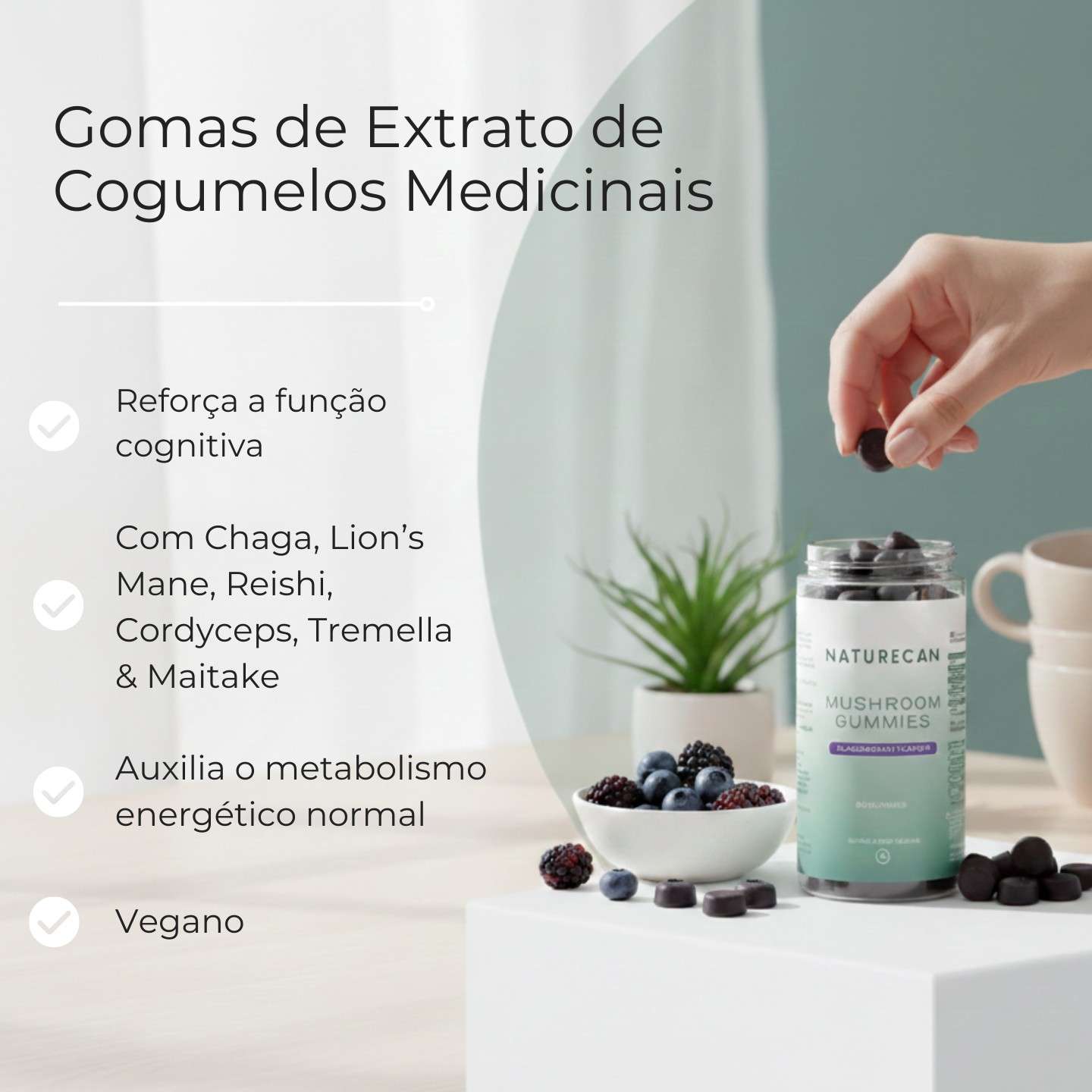 Gomas de Cogumelos Medicinais