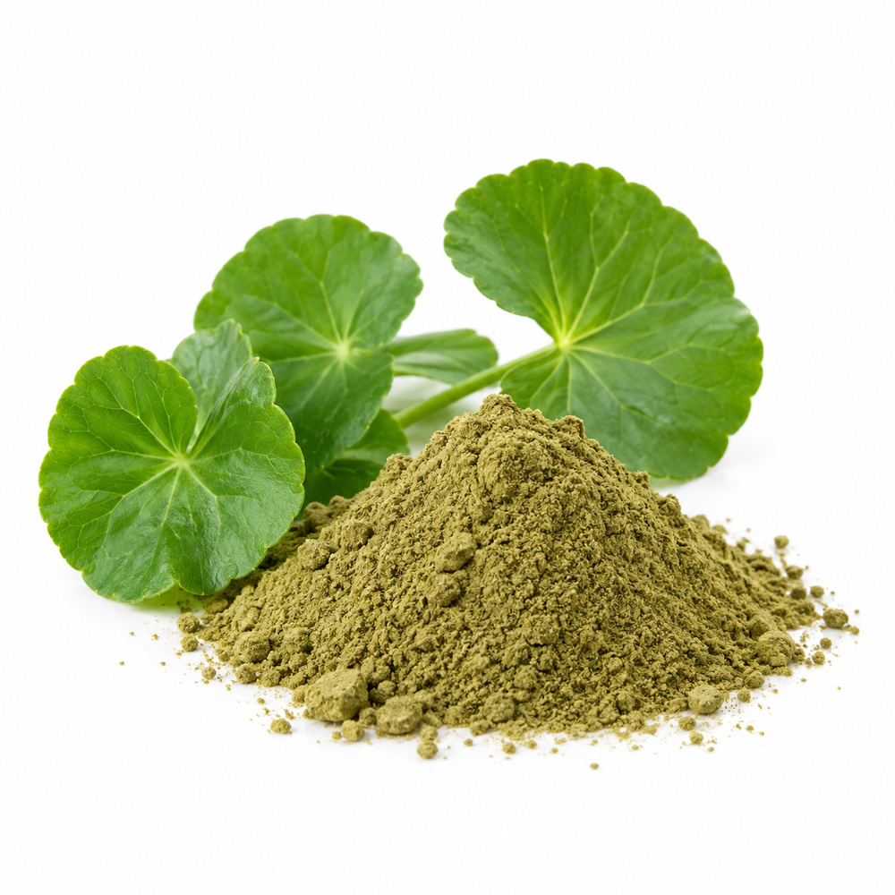 Extrato de Gotu Kola