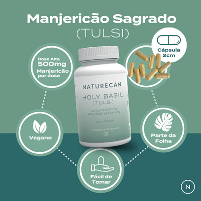 manjericão sagrado tulsi