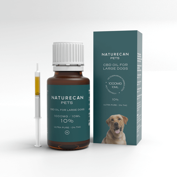 Óleo CBD para Cães