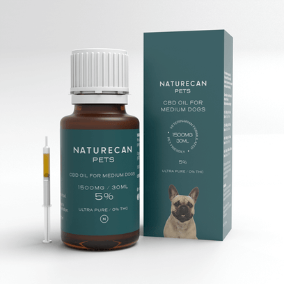 Óleo CBD para Cães