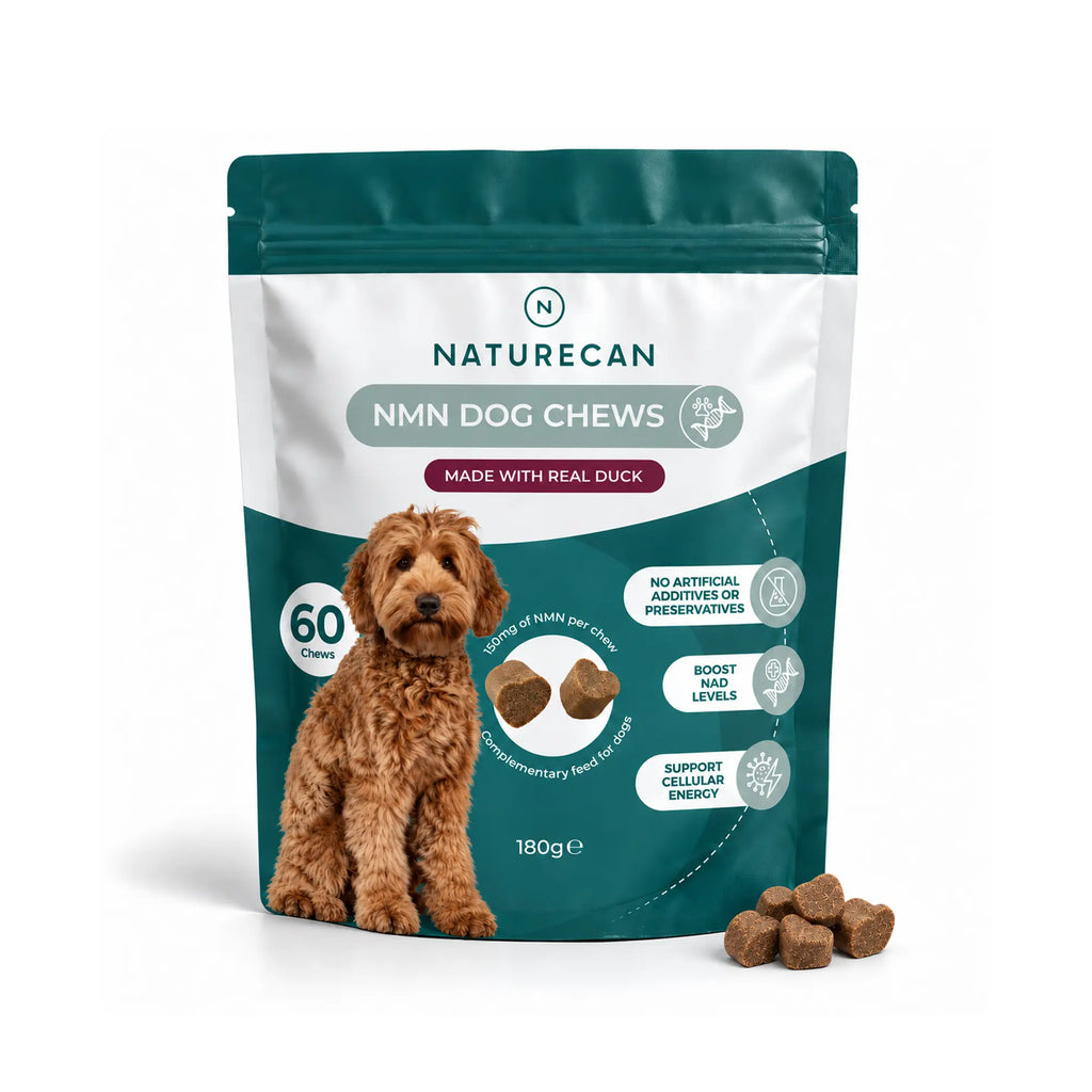 Snacks de NMN para Cães