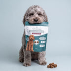 Snacks de NMN para Cães