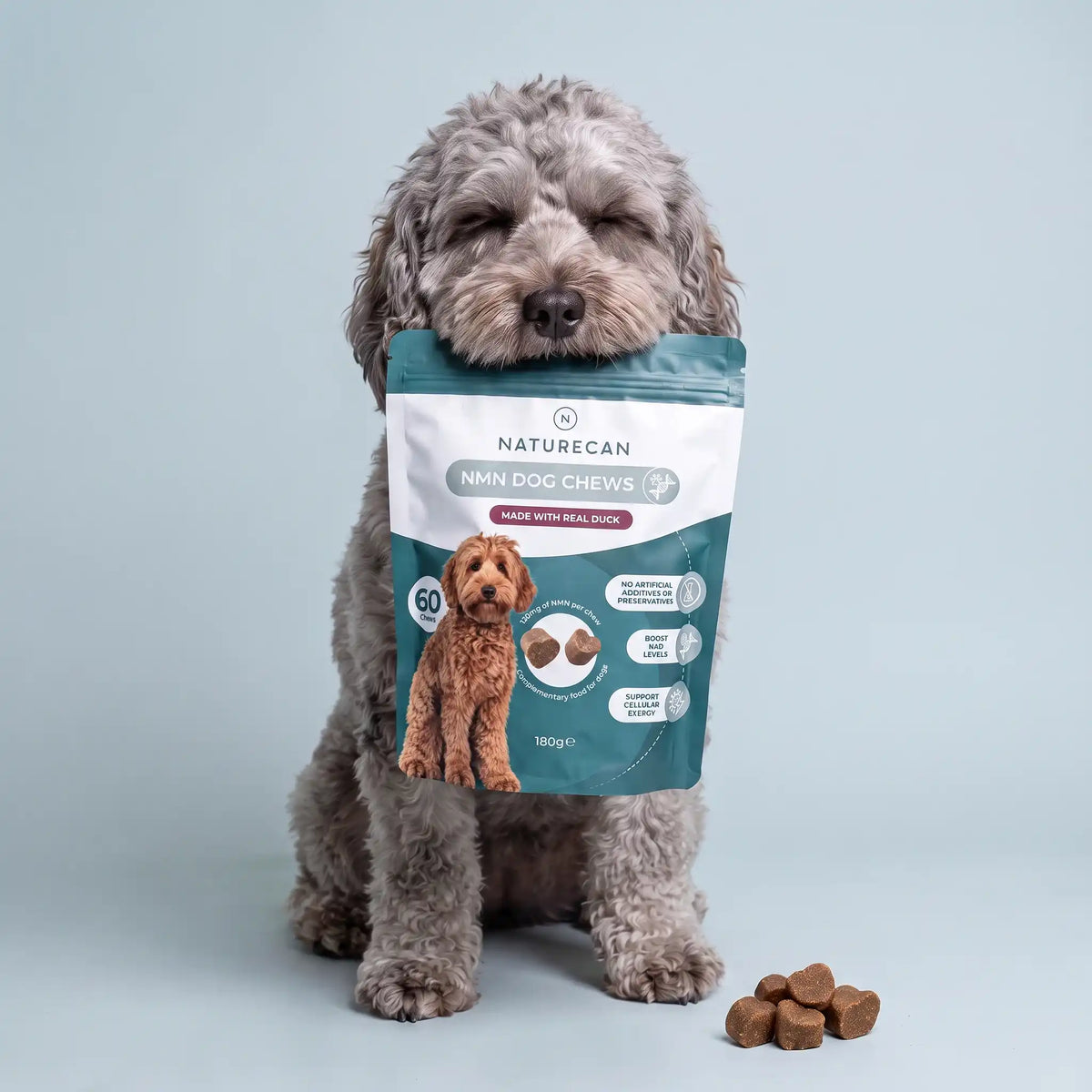 Snacks de NMN para Cães